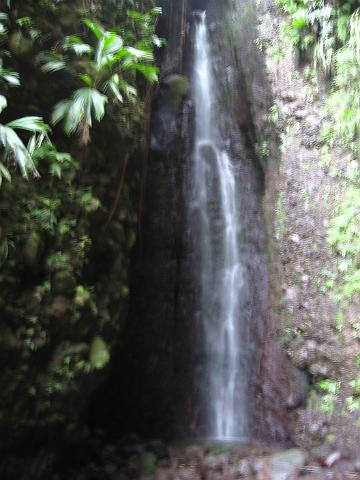 IMG_2098.JPG - Brenner Falls is in the north of Dominica, between Ville Casse and Penville. It is entirely within rock.