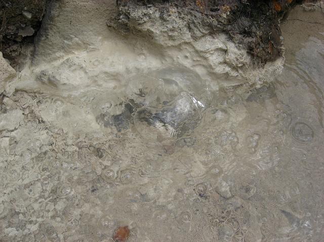 IMG_2107.JPG - Not far away, there's a cold sulfurous soufriere.