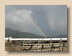 IMG_4318