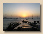 IMG_4322