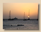 IMG_4324