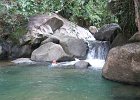 IMG_4349