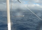 IMG_4357