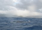 IMG_4362