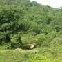 Graveyard Fields