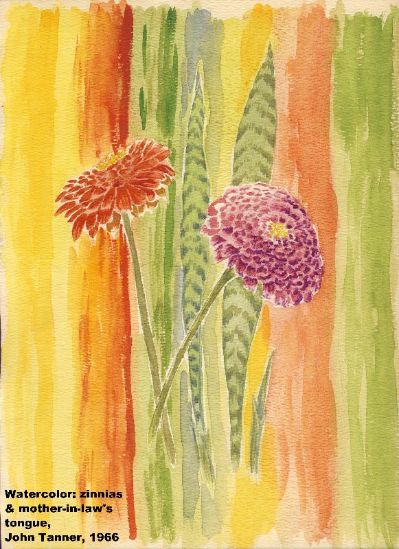 04_watercolor_zinnias_1966 