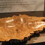 Made from a tree burl