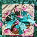 xmas_cactus