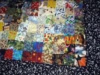 harmonicaquilt border 0948