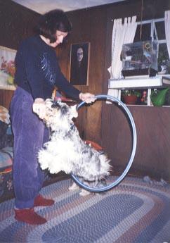 jed-hoop Here's Jed jumping through a hoop.