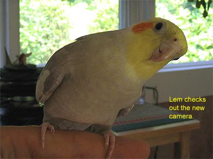 lem_checks_camera 