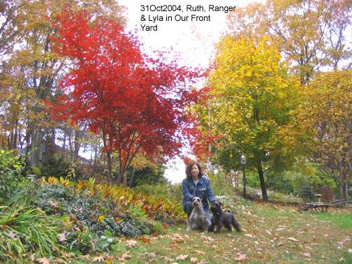 rt-dogs-yard-31oct04 Before a walk in autumn.