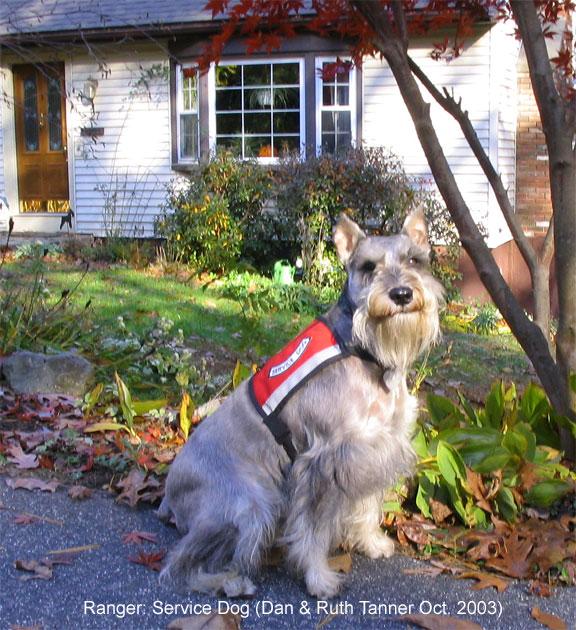 servicedog Ranger travels with us as Ruth's service dog.