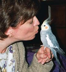 silver-kiss Silver was Ruth's first cockatiel.