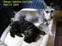 ranger-watches-over-lyla