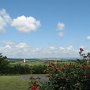 Along Skyline Drive