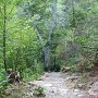 Path to Dark Hollow Falls