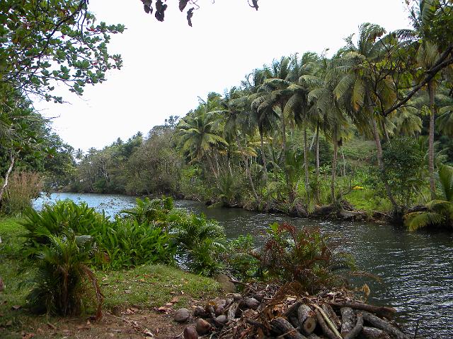 DSCN0246.JPG