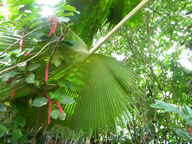 DSCN0254.JPG
