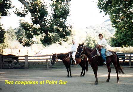 us-horses-1 We went for a horseback ride amid the coastal redwoods and sycamores near Point Sur along the Big Sur River, which we crossed on horseback four times during our ride.