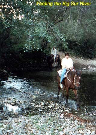 us-horses-3 