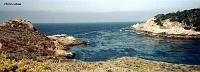pointlobos-1 Point Lobos, a few miles south of Carmel is the northern end of Big Sur, which runs about 50 miles south. The Hearst Castle in San Simeon State park is in the Big Sure Area, but we did not have time to visit it.