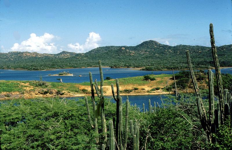 Untitled-Scanned-16 Bonaire has a national park/nature preserve named Washington Park.