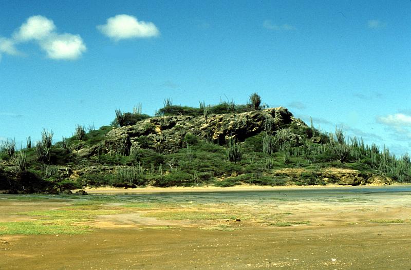 Untitled-Scanned-37 Typical of the land.