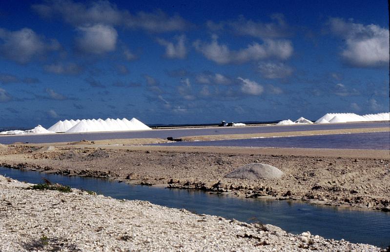 Untitled-Scanned-46 Salt in piles and salt evaporating ponds.