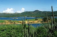 Untitled-Scanned-16 Bonaire has a national park/nature preserve named Washington Park.