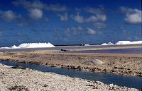 Untitled-Scanned-46 Salt in piles and salt evaporating ponds.
