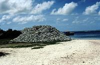 Untitled-TrueColor-13 Just look at the pile of conch shells.