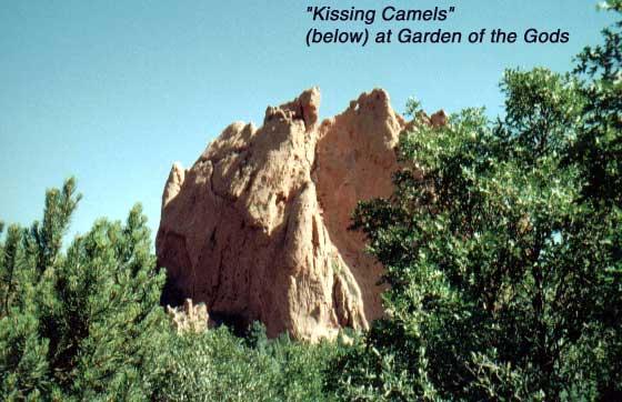 kissingcamels-1 