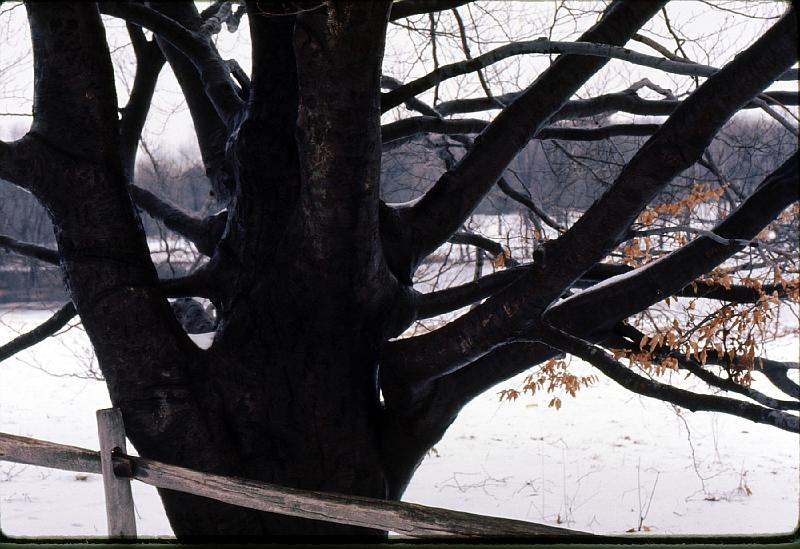 10-Concord_battleground Battlefield