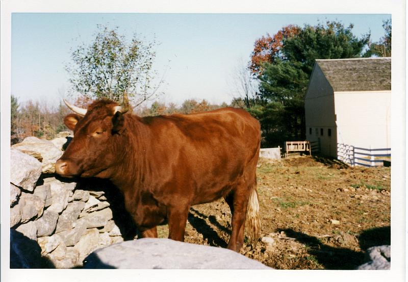 03 We also visited some farms.