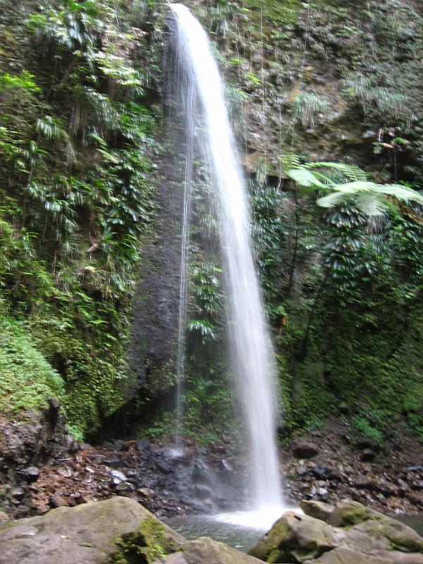 IMG_0869 