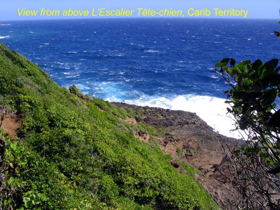 tete-chien-view-1 