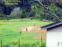 cricket