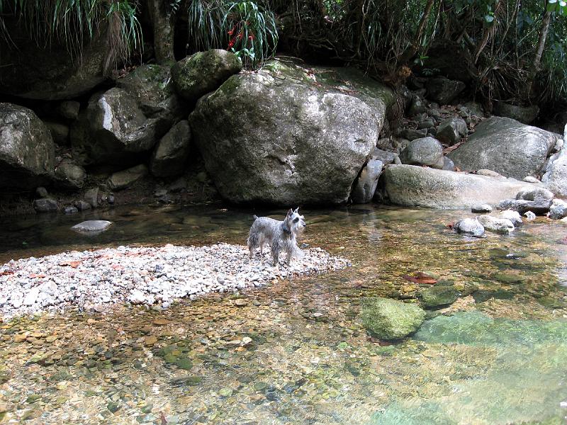 Sisserou_Falls_Ranger_IMG_0428 