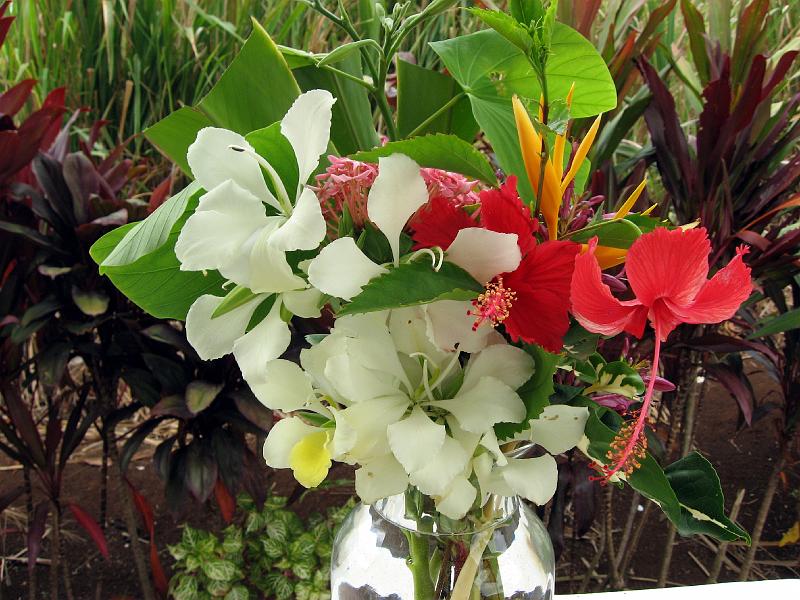 boquet_IMG_0572 