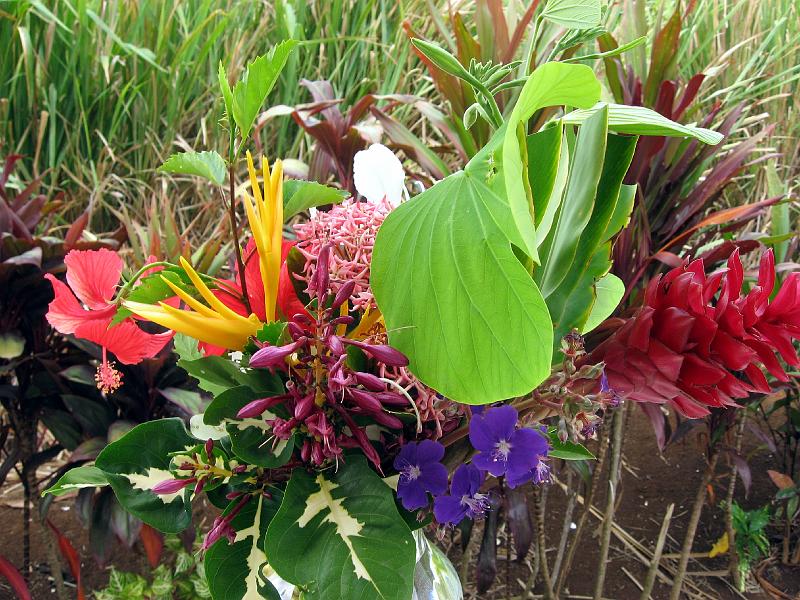 boquet_IMG_0573 