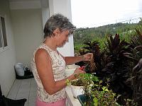 Ruth_potting_a_plant_IMG_0459