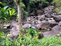 Sisserou_Falls_IMG_0417 The lower pools at Sisserou Falls.