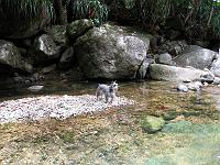 Sisserou_Falls_Ranger_IMG_0428 
