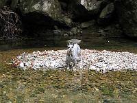 Sisserou_Falls_Ranger_IMG_0430 