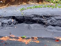 black_sand_bay_IMG_0562 The black sand is as fine as talcum powder and doesn't stick to your skin.  A magnet will attract it, and I believe it to be sea-ground lodestone.
