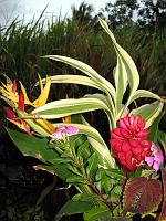 boquet_IMG_0457 