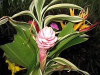 boquet_IMG_0458 
