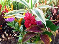 boquet_IMG_0461 