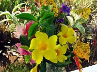 boquet_IMG_0544 